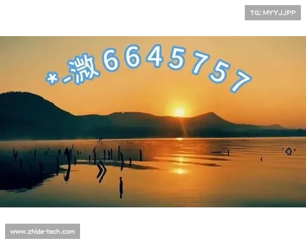 加拿大28玩法揭秘与技巧分析，助你轻松掌握游戏策略